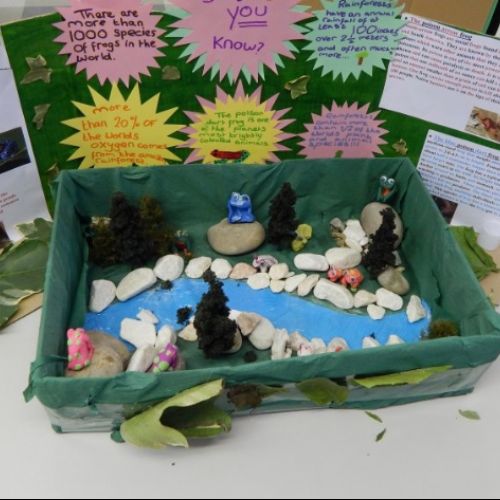 Year 5 and 6 Projects