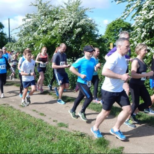 Race for Life 2015